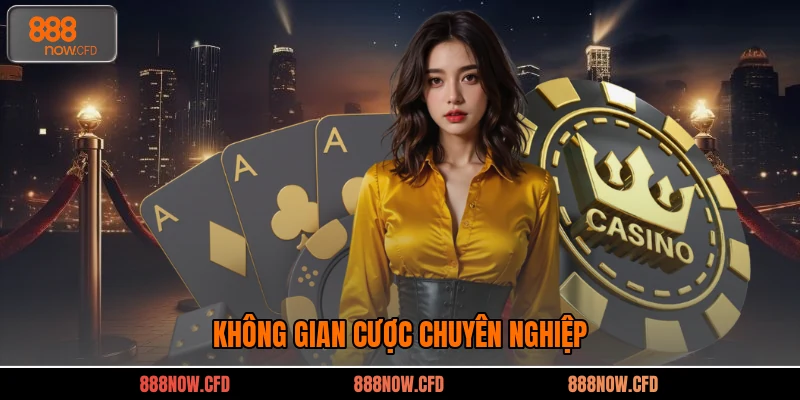 Không gian cược chuyên nghiệp